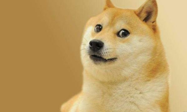 doge表情简密垂什刚几倒复是什么意思?